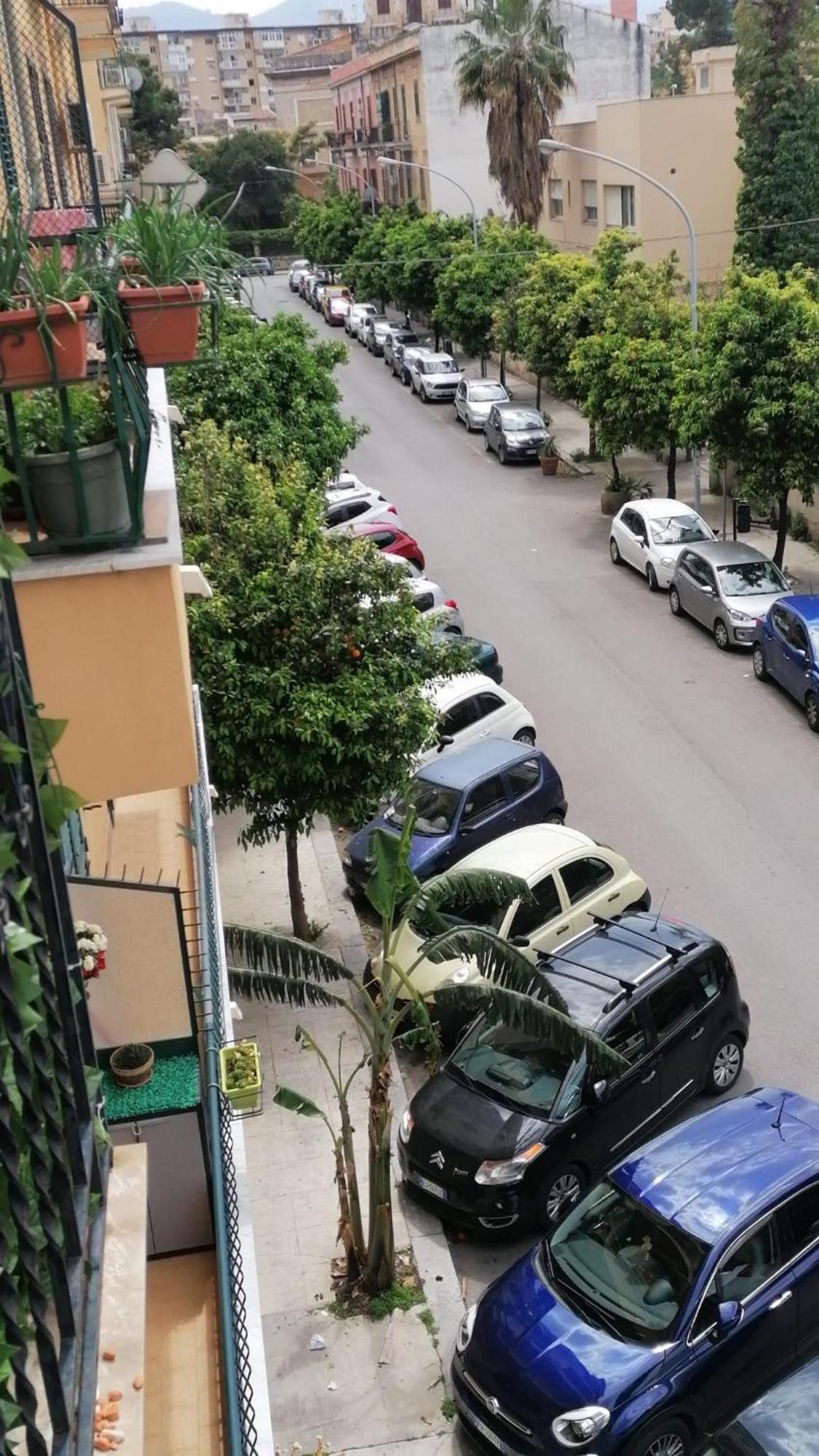 Biddizzi Apartman Palermo Kültér fotó